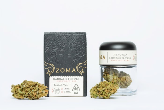 ZOMA Is The Future Of Cannabis